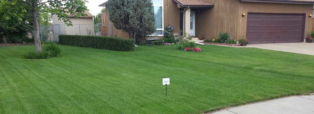 Lawn Care Edmonton