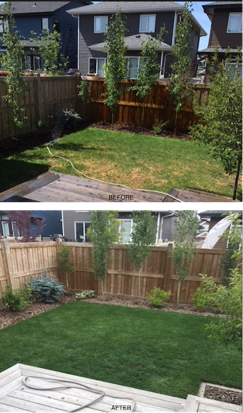 Lawn Care Edmonton - Weed Control & Fertilizer Service