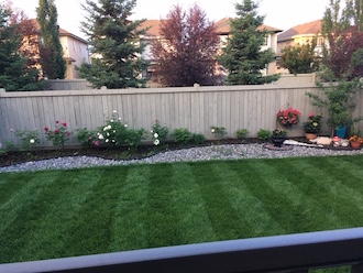edmonton lawn fertilization - backyard garden