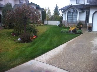 edmonton lawn fertilizer service - front yard