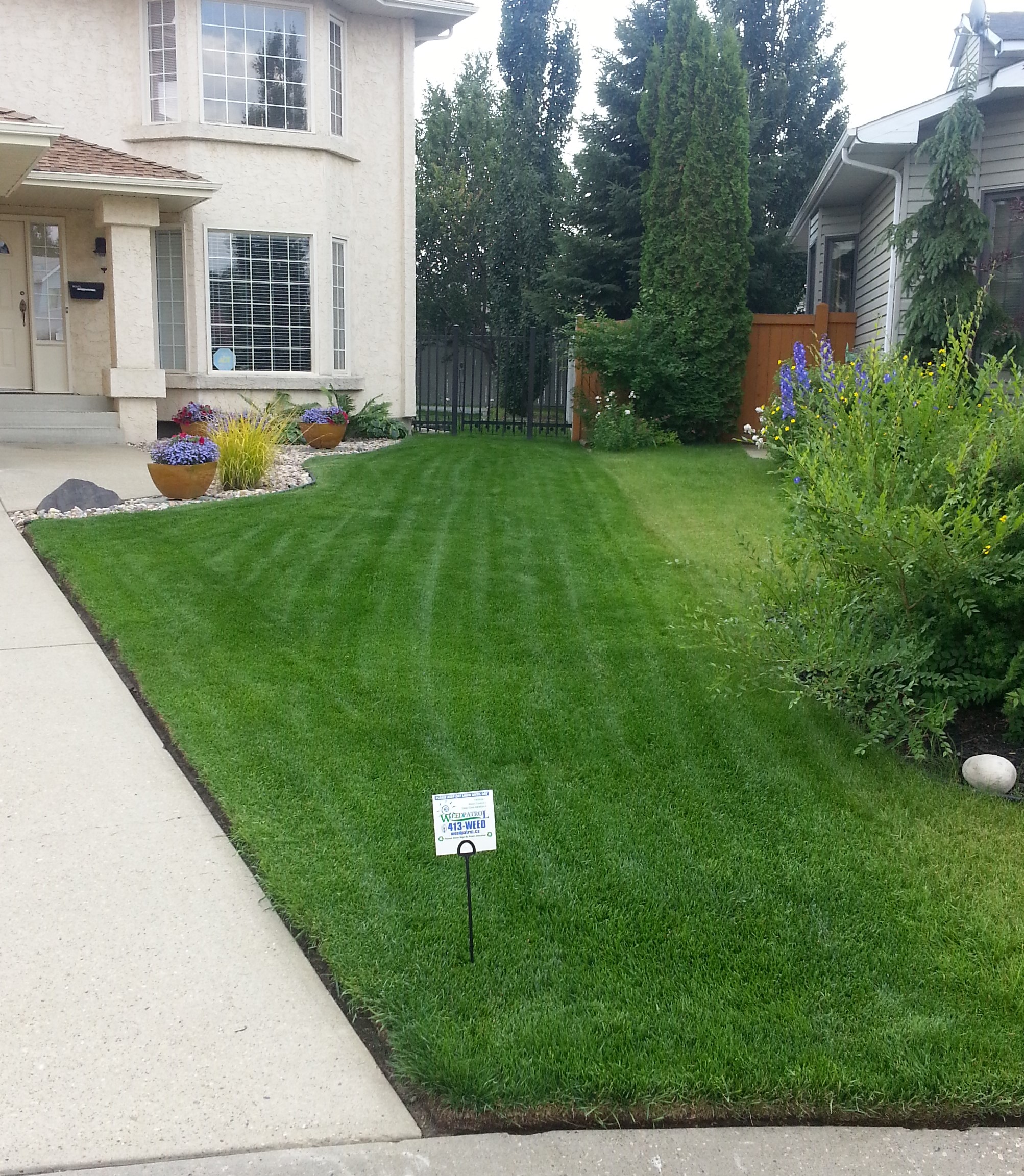 weed and lawn service
