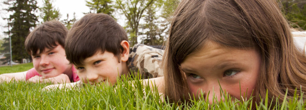 Weed patrol - lawn care & maintenance - children playing