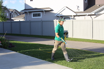 edmonton weed control - why choose us